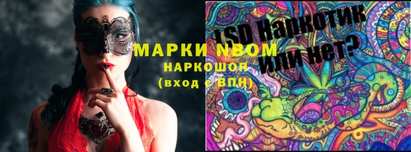 прущий лед Лагань