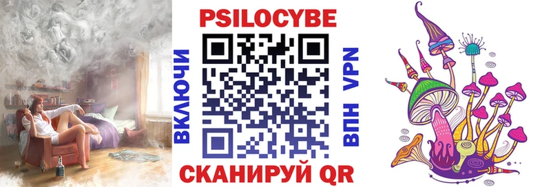 где купить   Сурск  Галлюциногенные грибы мухоморы 